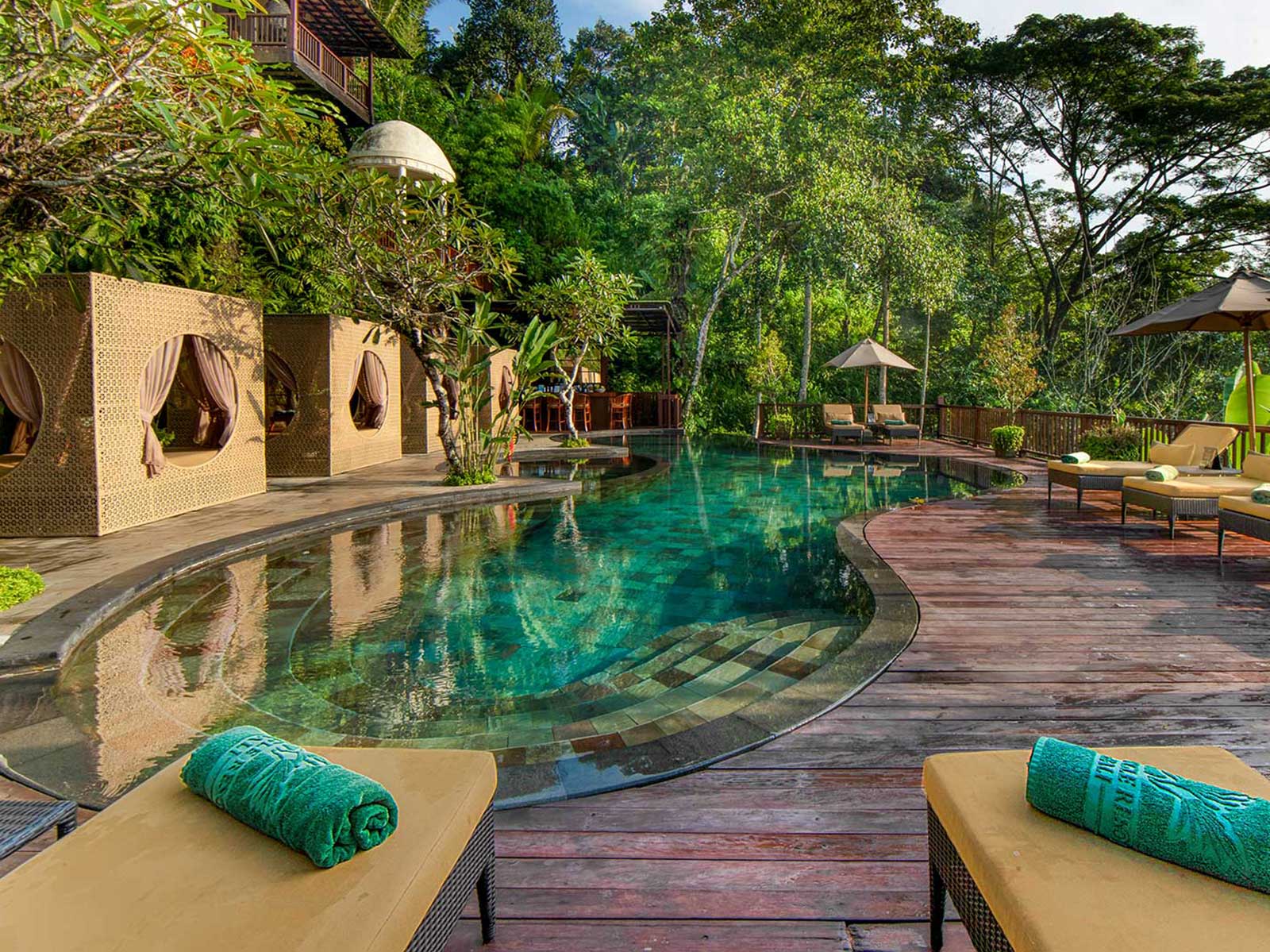 Explore More at Nandini Jungle by Hanging Gardens