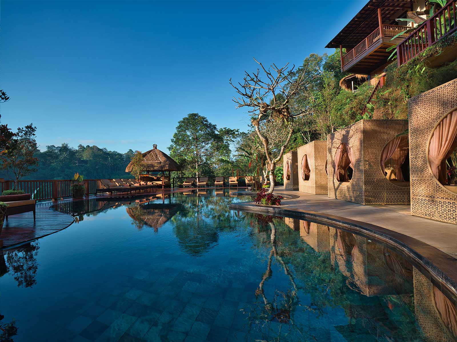 Why Travelers Love Nandini Jungle by Hanging Gardens