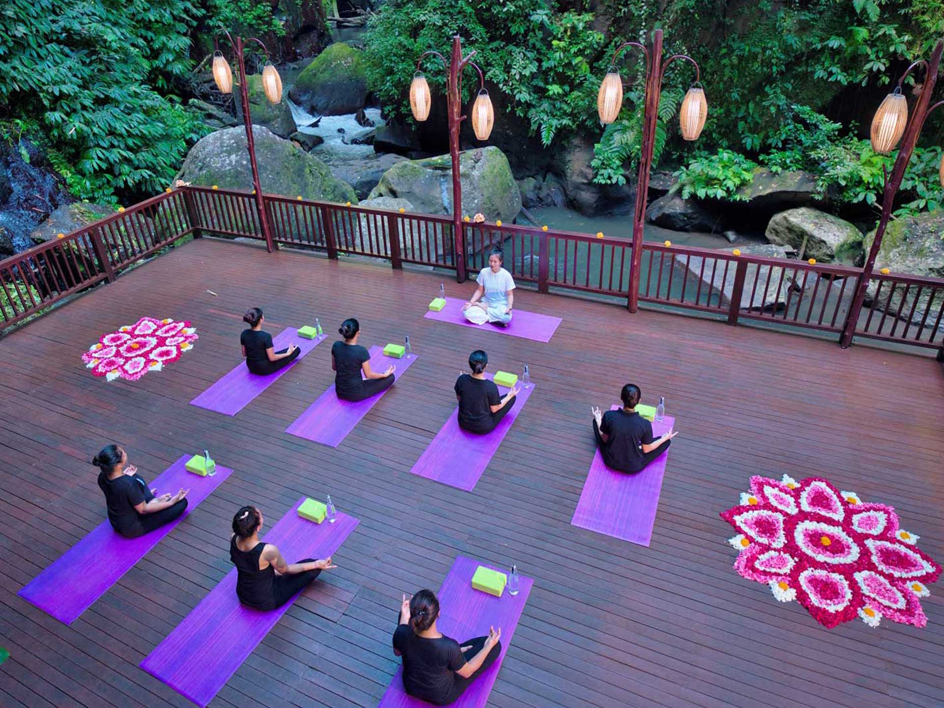 Flow with Jungle Yoga