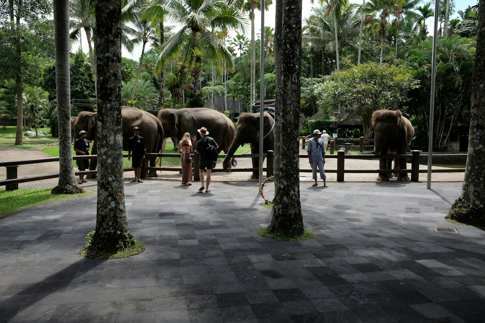 Elephant Park Tour