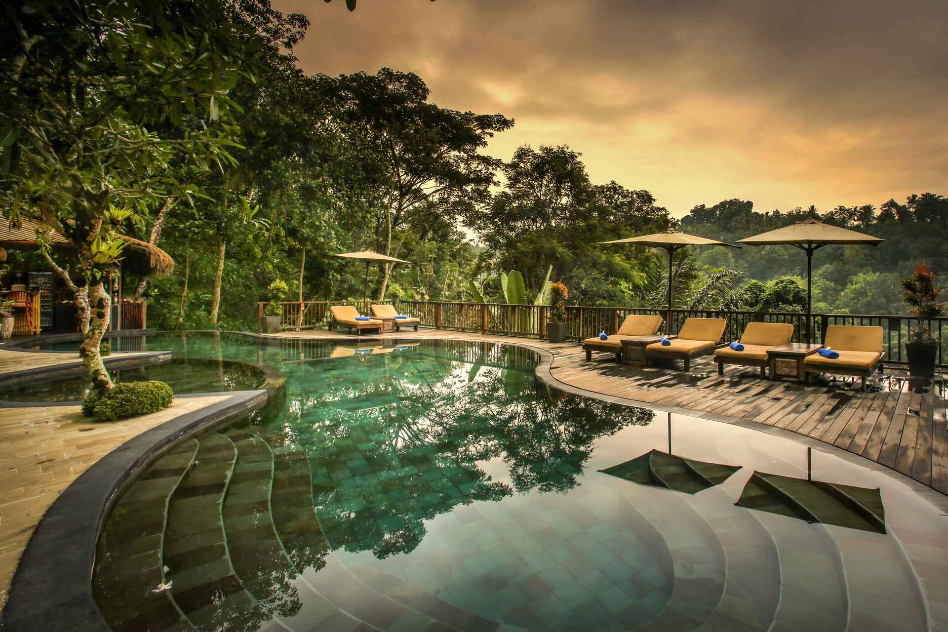 Nandini’s architecture within the jungle landscape