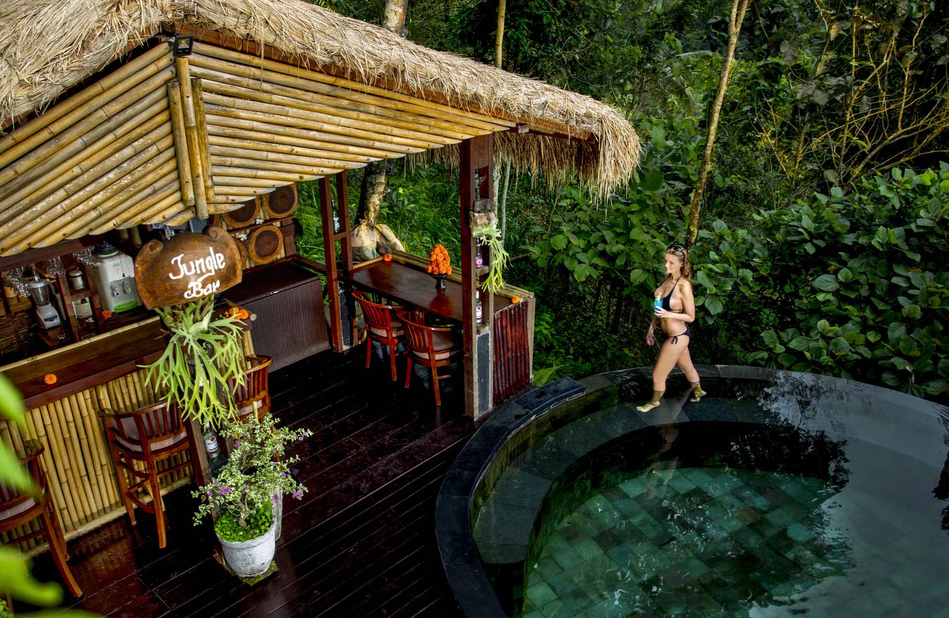 Jungle Pool Bar