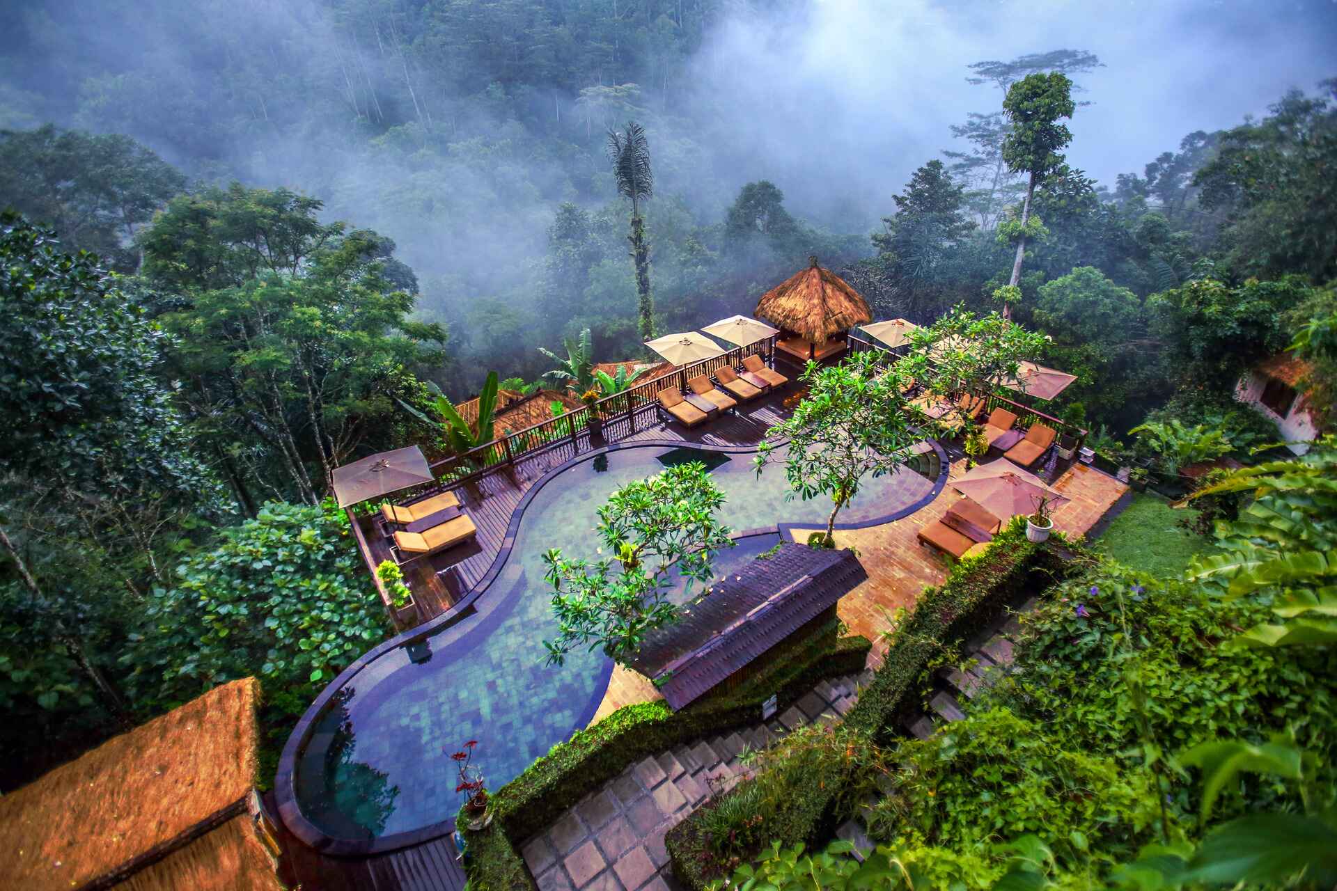 Mystical jungle pool at Nandini Jungle by Hanging Gardens