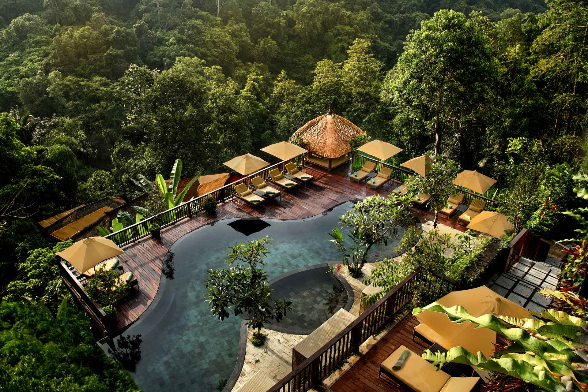 Nandini Jungle infinity pool surrounded by tropical rainforest in Ubud, Bali