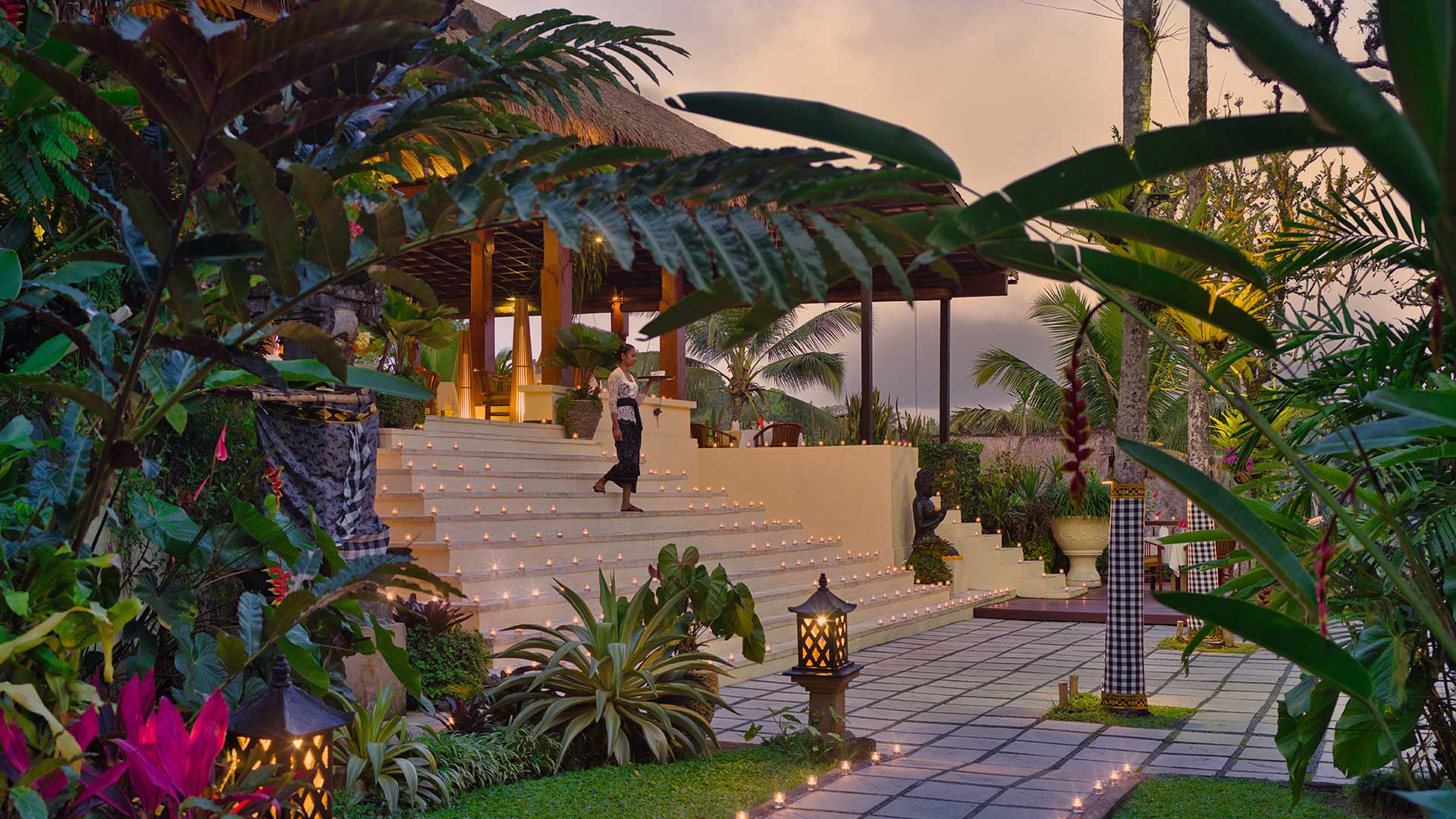 Christmas Eve Dinner in The Jungle