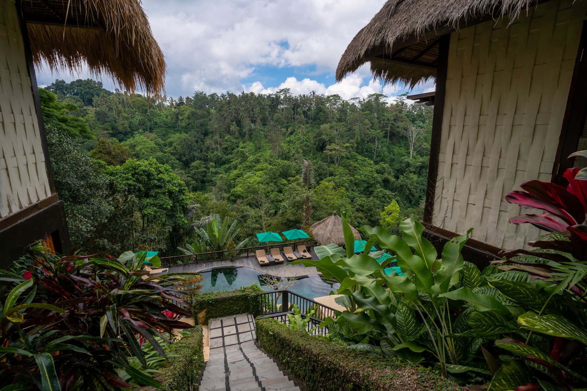 Blog & News | Nandini Jungle by Hanging Gardens