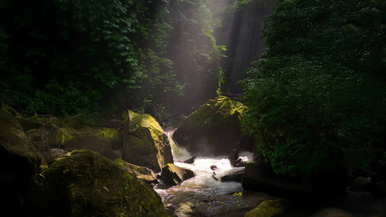 Ubud Healing Retreat: Discover Bali's Sacred Wellness Sanctuary